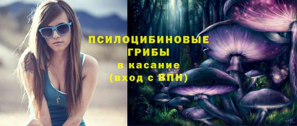 герыч Дмитровск