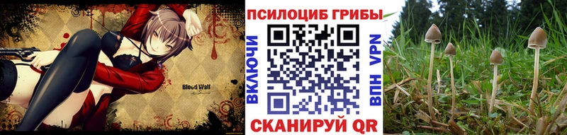Галлюциногенные грибы Cubensis  Купить  Конаково 